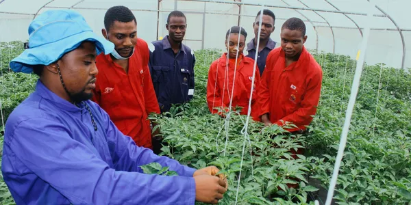 Accountant Needed at Fuente Farm Limited