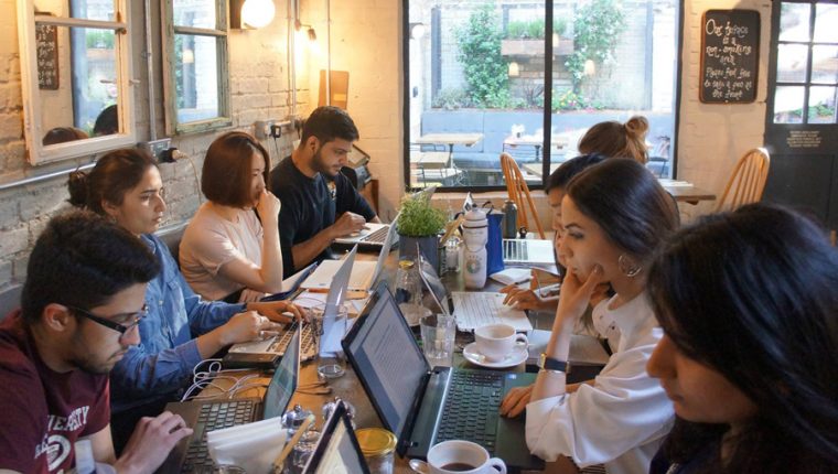 UCL Gatsby Bridging Program 2025 in the UK | APPLY