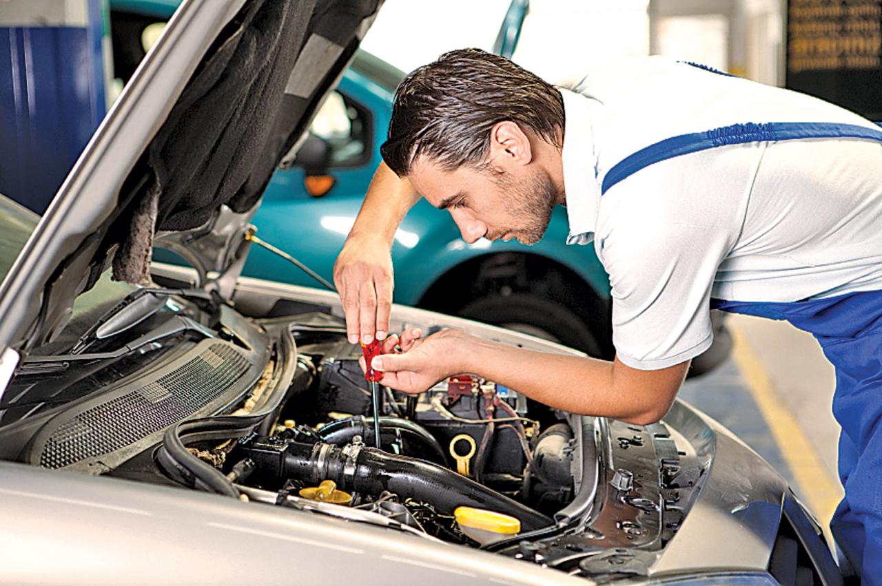 Auto Mechanic (Electrician, Body Repairer) Needed at Tice Tropics Limited