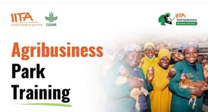 Operations Manager Needed at the International Institute of Tropical Agriculture (IITA)