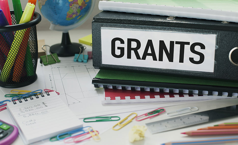 Remote Grant Writer Needed at Vida Institute