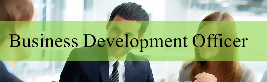 Business Development Officer Needed at Indie Finance