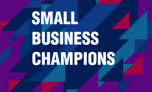 Open Call: MSME Group Small Business Champions Competition 2025
