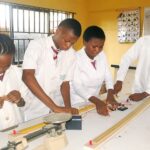 REMOTE: WordPress Developer Needed at Dadeyo Schools