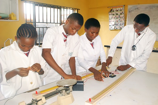 REMOTE: WordPress Developer Needed at Dadeyo Schools