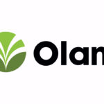 Engineer – Planning and Inventory Control Needed at Olam Agri