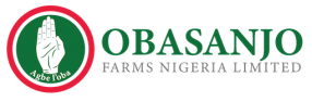 Stores Manager Needed at Obasanjo Farms Nigeria